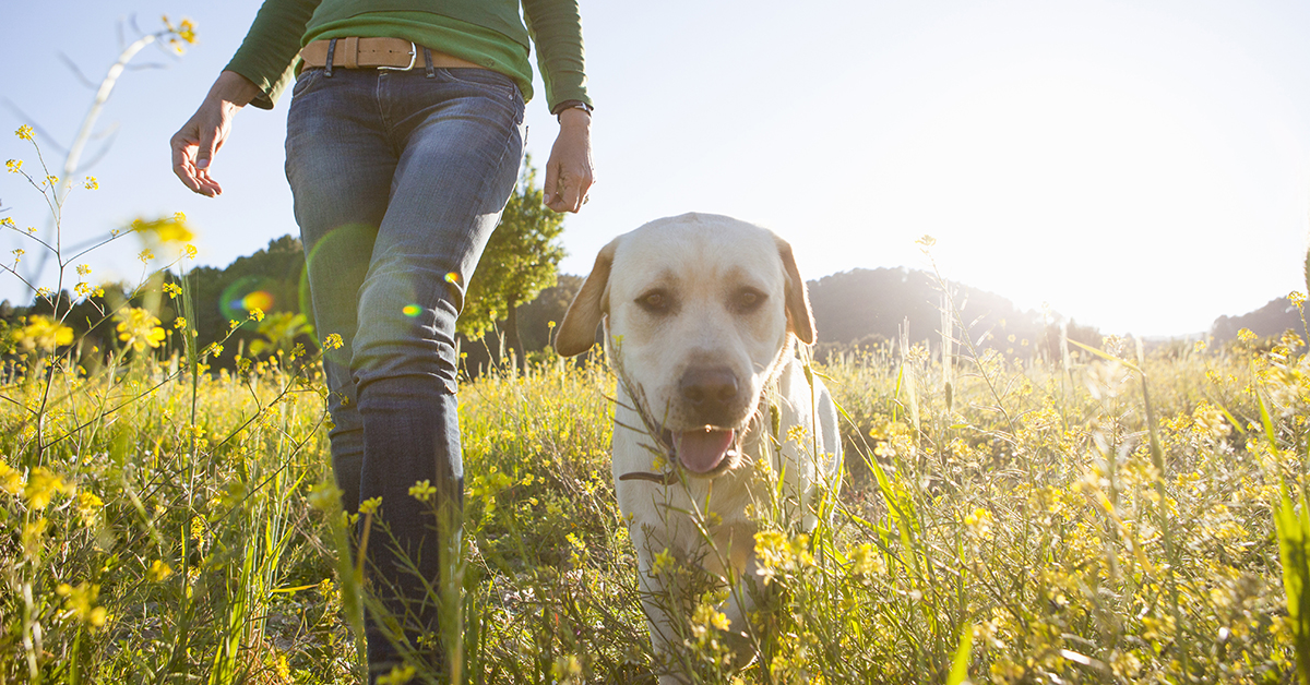 Respond to Allergies with Awareness, Action