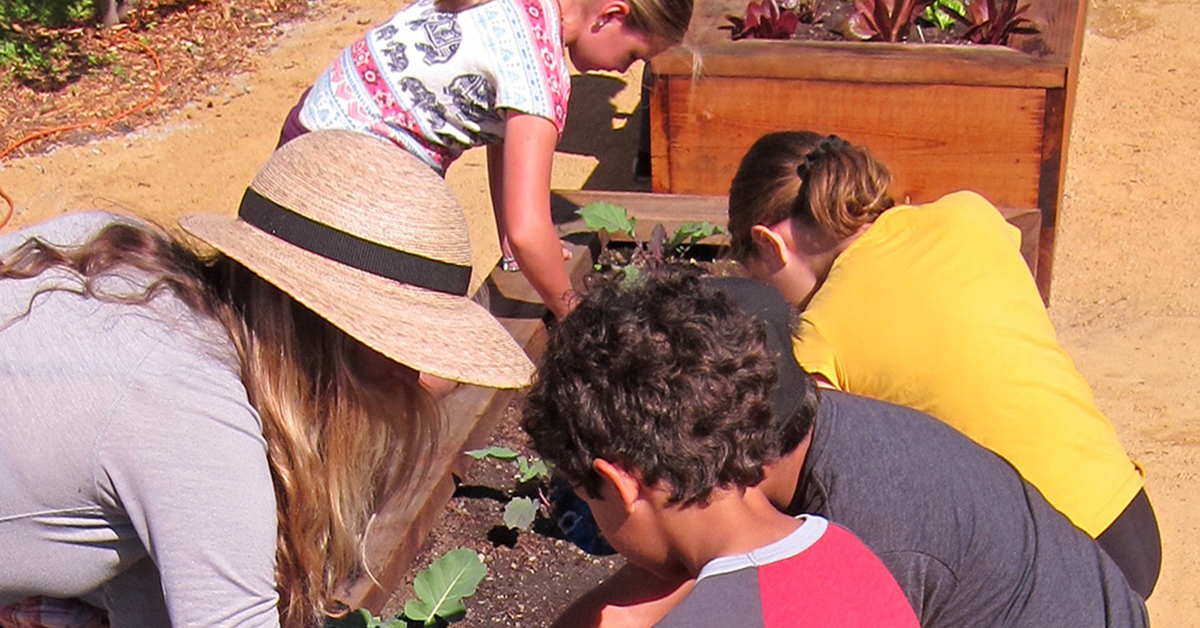 The HEAL Project Garden Program Promotes the Healing Powers of Fresh Food