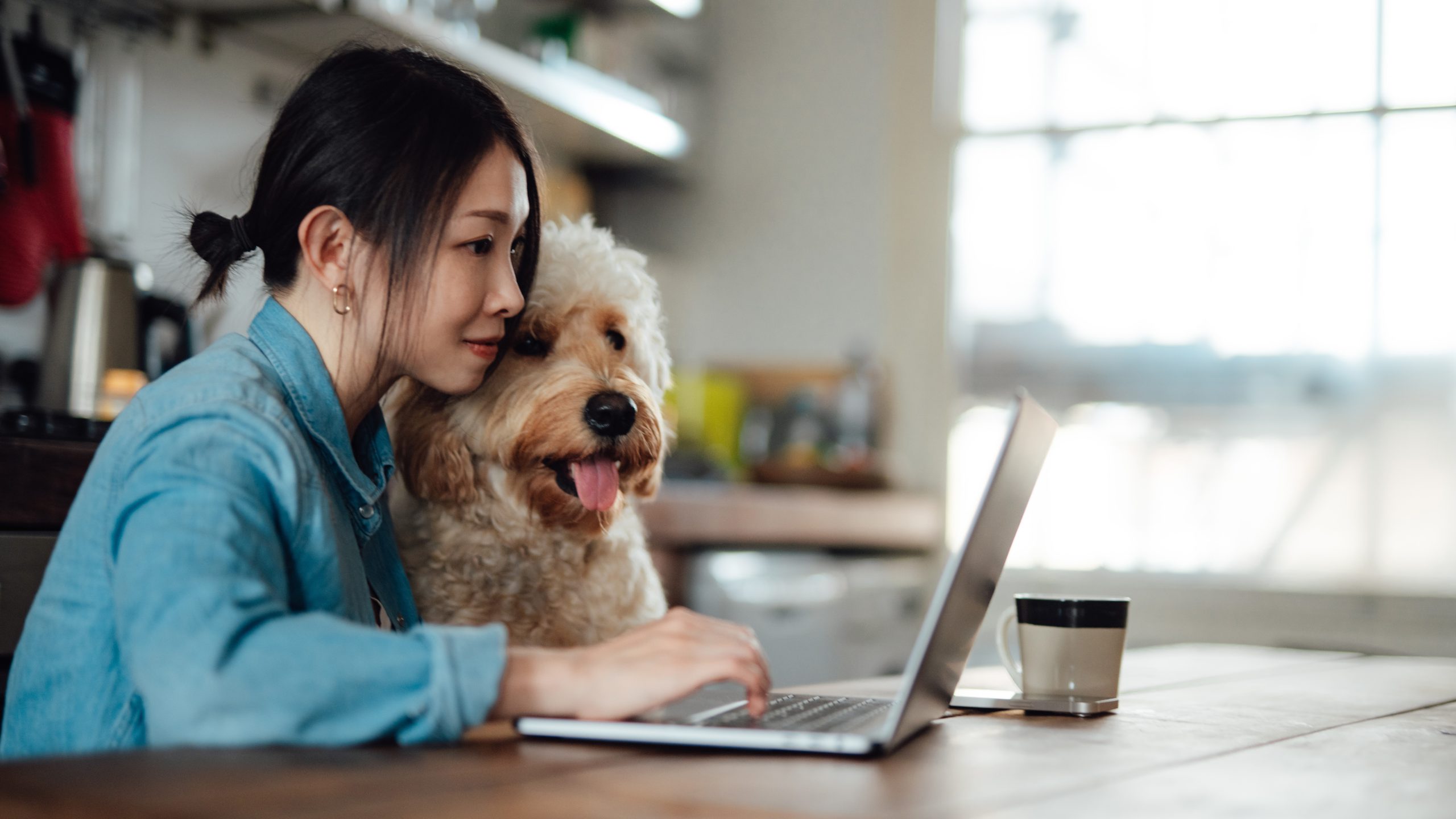 Young Asian woman using laptop next to her dog, sitting at dining table at home. Work life balance. Living with a pet. Online shopping at home.